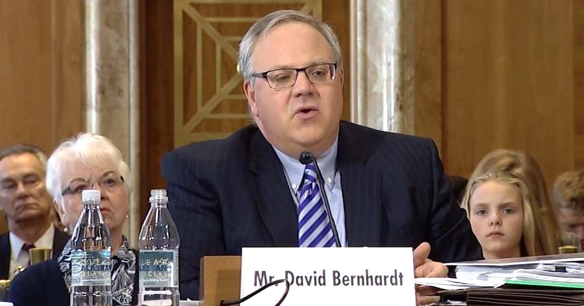 Who Is David Bernhardt? (And Why Every Environmentalist Should Care.) - EcoWatch