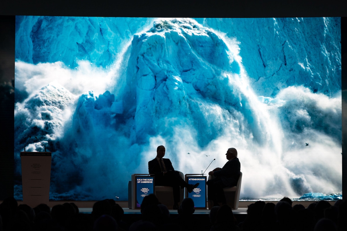 David Attenborough discusses his series Our Planet at the World Economic Forum in Davos, Switzerland.