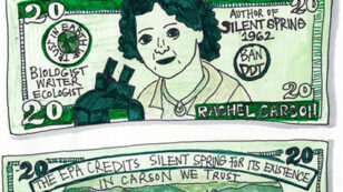 Will Rachel Carson Be the First Woman on the $20 Bill?