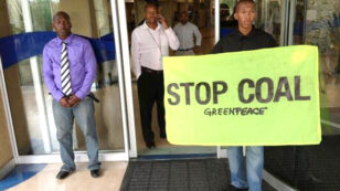 14 Activists Arrested Protesting Coal in South Africa