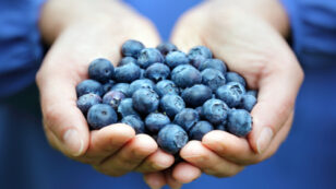 Why Antioxidants in Superfoods Are Essential to Your Diet