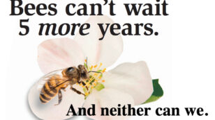 Coalition Builds Buzz on Pollinator Decline With National Ad Campaign