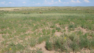 Geographers Identify Huge Sources of CO2 Buried in Soil of the Great Plains