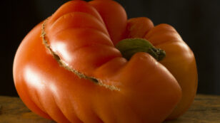 French Supermarket Limits Food Waste by Selling Ugly Produce