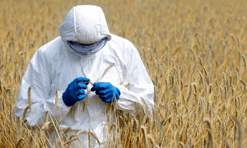 Scotland Bans the Growing of Genetically Modified Crops