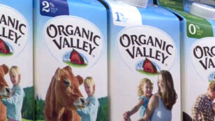 Study Finds Organic Milk More Nutritious Than Conventional Milk
