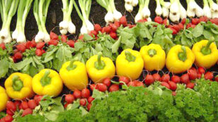 Organic Sector a Surging Component of Agricultural Economy