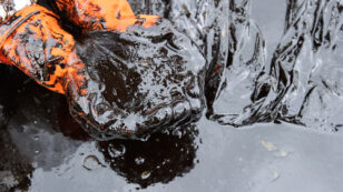 Oil Spills Increased by 17% in 2013