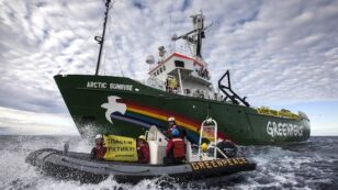 A Year in the Life of Greenpeace