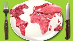 The Meat Atlas: Facts and Figures About Industrial Food Production