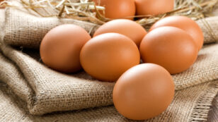 Organic vs. Conventional: Find Out Which Eggs Are Healthiest to Eat
