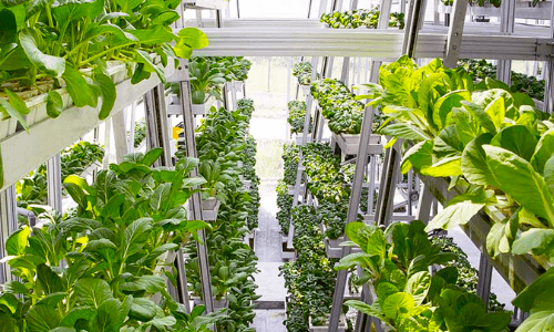 World’s First Hydraulic-Driven Vertical Farm Produces 1 Ton of Vegetables Every Other Day
