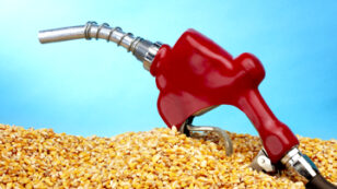 Renewable Fuel Standards Require More Corn Ethanol