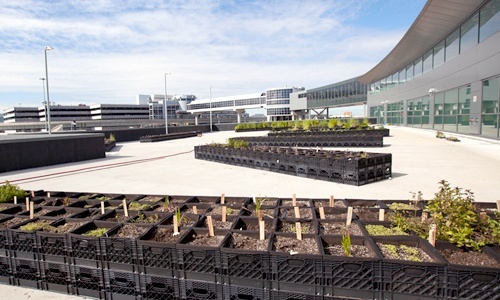 JetBlue Opens Urban Farm at JFK Airport to Feed Passengers and Local Food Banks