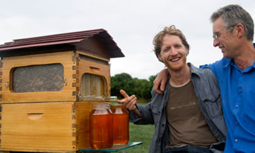 Revolutionary Honey Harvesting Beehive Crowdsources $2 Million in First Day
