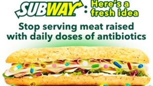 Subway Sandwiches Fuel Major Public Health Crisis