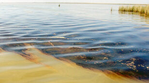 Will U.S. Taxpayers Foot the Bill for BP Oil Spill Cleanup?