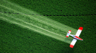Study Shows Pesticide Exposure Dramatically Increases Risk of Developing Parkinson’s Disease