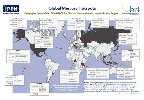 Will the Mercury Treaty Negotiations Reduce Mercury Poisoning Around the World?