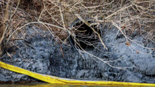 Coal Ash Spill Leaves Most North Carolina Voters Craving Stronger Environmental Leadership
