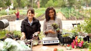 5 Reasons Why Urban Farming Rocks: Apply Today to Win the $15k Gardens for Good Grant