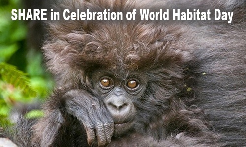 10 Cutest Wildlife Photos in Celebration of World Habitat Day