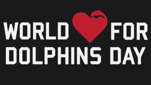 Thousands to Rally Today Against Taiji Dolphin Slaughter for “World Love for Dolphins Day”