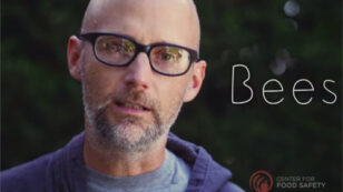 Moby Says ‘Save Our Bees’ From Neonicotinoids