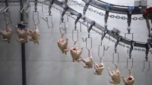 New USDA Food Safety Plan Will Speed Up Poultry Processing Lines