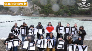 Sea Shepherd Supporters Rally Worldwide Calling for End to Brutal Taiji Dolphin Hunts
