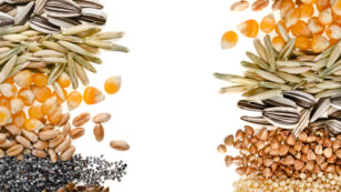 Canada Focuses on Food Security With Seed Diversity Initiative