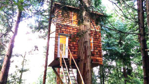 If You’ve Ever Wanted to Live in a Treehouse, You’ve Got to Check This Out