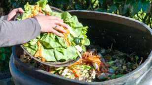 Find Out Which U.S. City Shames You Into Composting