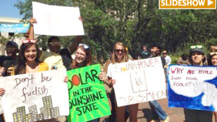 16 Sunny Photos From Florida Solar Energy Rally