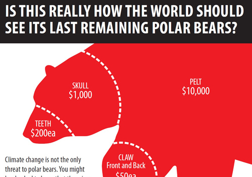 Stop the Killing of More Than 500 Polar Bears Each Year from International Trade in Fur and Parts