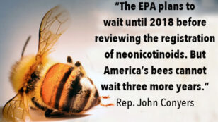 4 Million People Demand Obama Administration to Protect Bees from Toxic Insecticides