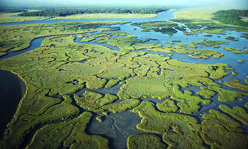 Big Oil Eyes Florida’s Public Lands, Plans to Drill in the Everglades