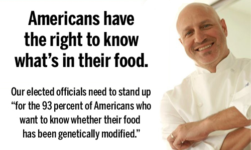 Chef Tom Colicchio Stands With Federal Lawmakers as GE Food Labeling Bill Is Reintroduced