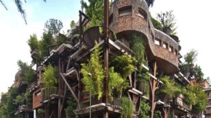 Epic Urban Treehouse Offers Glimpse Into Future Living