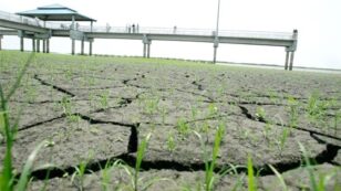 Extreme Drought Hits South Florida
