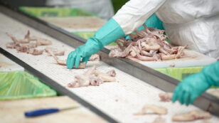 USDA Releases Final Rule to Privatize Poultry Inspection