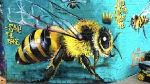 Buzzing Artist Swarms City Walls to Save the Bees