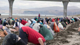 New Zealanders Bury Heads in Sand … Just Like Their Government