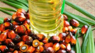 Find Out Which Companies Responsibly Source Palm Oil (You Might Be Surprised)