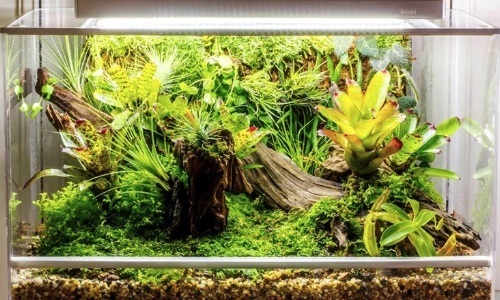 World’s First Smart Microhabitat Grows Just About Anything