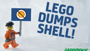 Victory for Greenpeace Campaign as LEGO Dumps Shell Oil