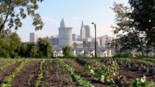 How Urban Farming Can Transform Our Cities—And Our Agricultural System