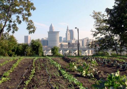 How Urban Farming Can Transform Our Cities—And Our Agricultural System