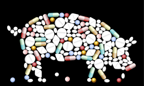Court Rules Rampant Misuse of Antibiotics on Factory Farms Can Continue