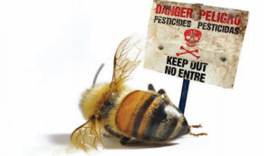 7 PR Tricks Pesticide Companies Use to Spin Bee Crisis